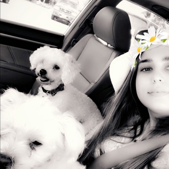 Meet your Posher, LG - Picture 2 of 3